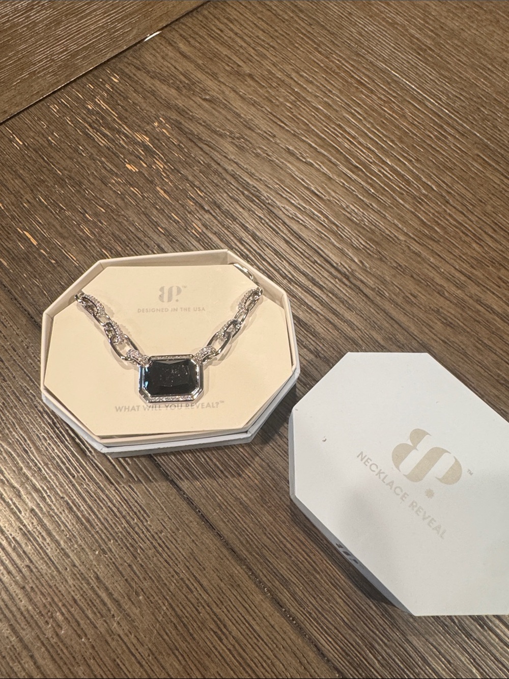 Bomb Party š Silver Chain Necklace with Black Pendant. NWT